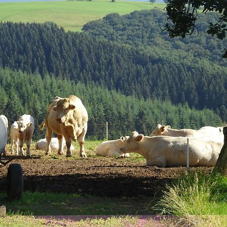 Urlaub Mit Hund Auf Dem Bauernhof Hofswald Lägenhet Euscheid Exteriör bild