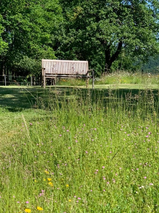 Urlaub Mit Hund Auf Dem Bauernhof Hofswald Lägenhet Euscheid Exteriör bild