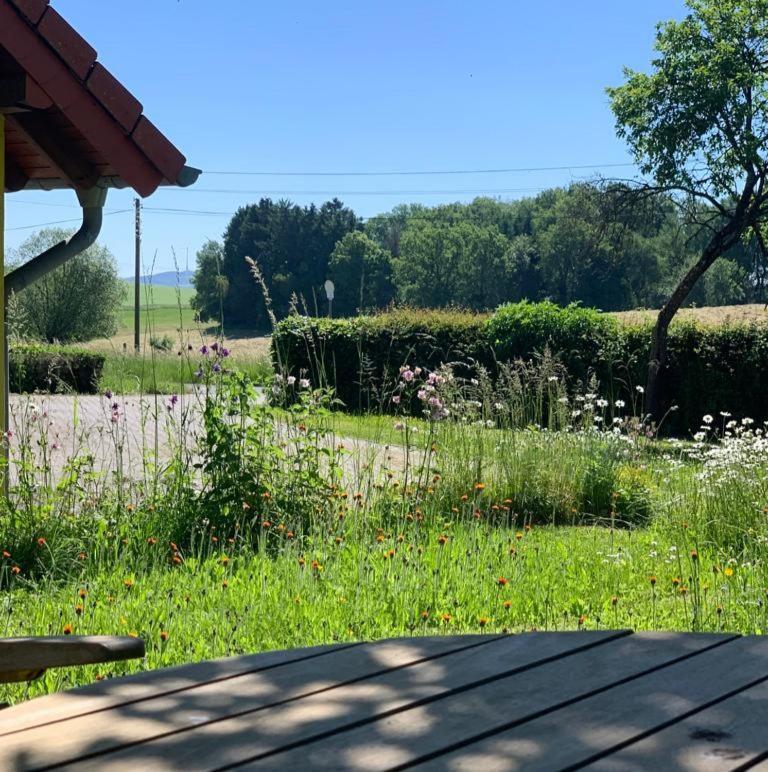 Urlaub Mit Hund Auf Dem Bauernhof Hofswald Lägenhet Euscheid Exteriör bild