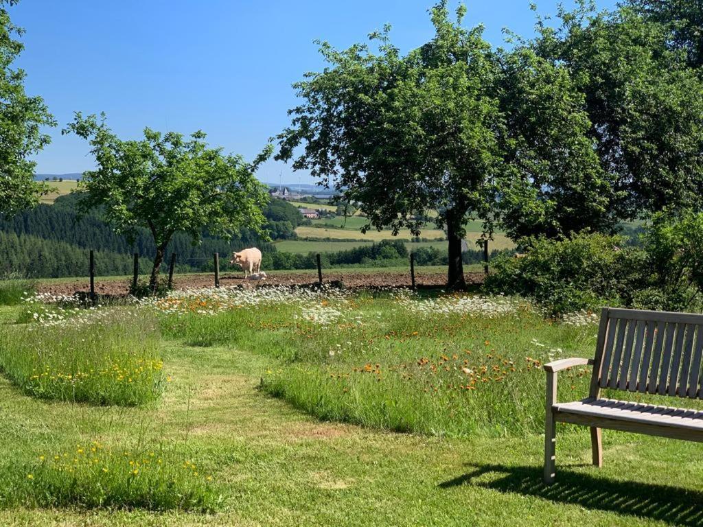 Urlaub Mit Hund Auf Dem Bauernhof Hofswald Lägenhet Euscheid Exteriör bild