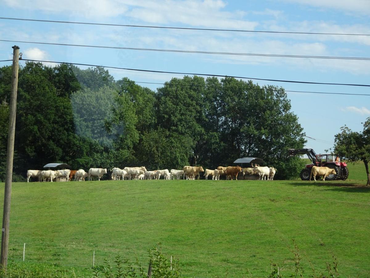 Urlaub Mit Hund Auf Dem Bauernhof Hofswald Lägenhet Euscheid Exteriör bild