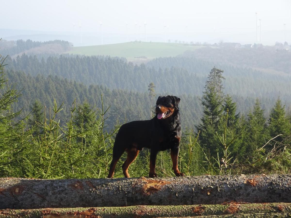 Urlaub Mit Hund Auf Dem Bauernhof Hofswald Lägenhet Euscheid Exteriör bild