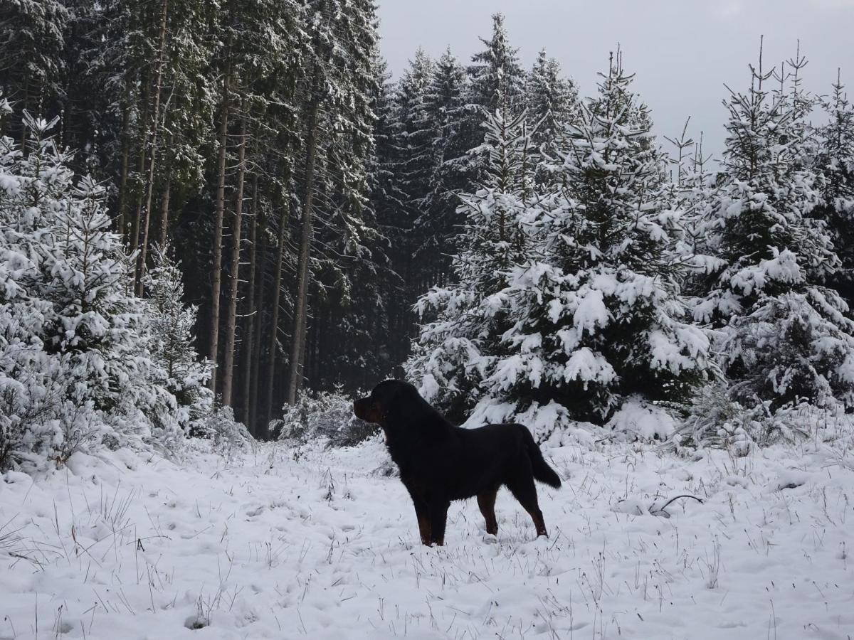 Urlaub Mit Hund Auf Dem Bauernhof Hofswald Lägenhet Euscheid Exteriör bild