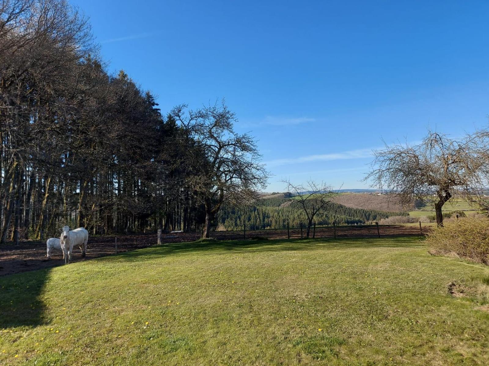 Urlaub Mit Hund Auf Dem Bauernhof Hofswald Lägenhet Euscheid Exteriör bild