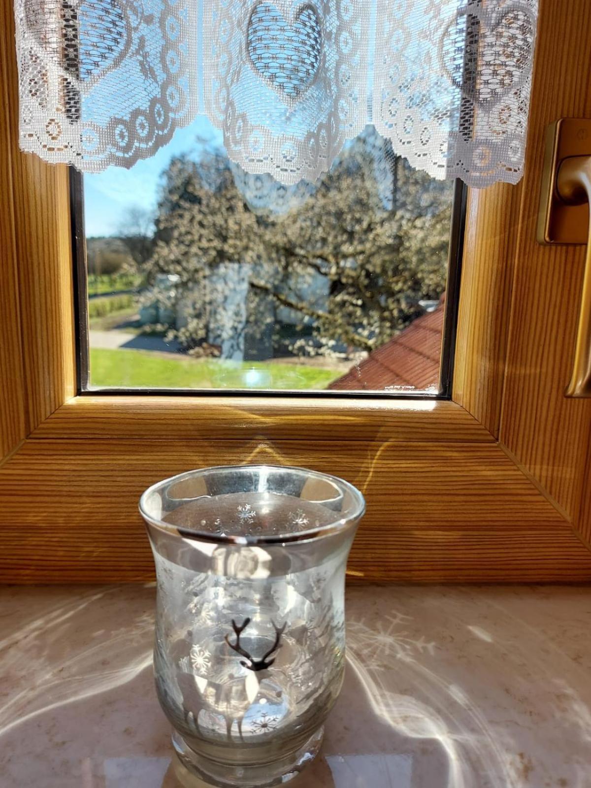 Urlaub Mit Hund Auf Dem Bauernhof Hofswald Lägenhet Euscheid Exteriör bild